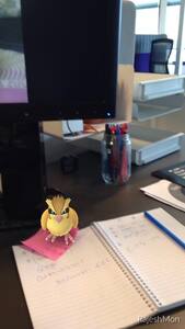 13731491_10103138468720376_8856193623562569942_n