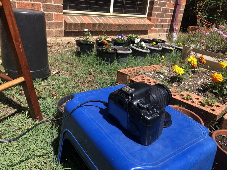 Fascinating Time-Lapse Videos Made with Raspberry Pi